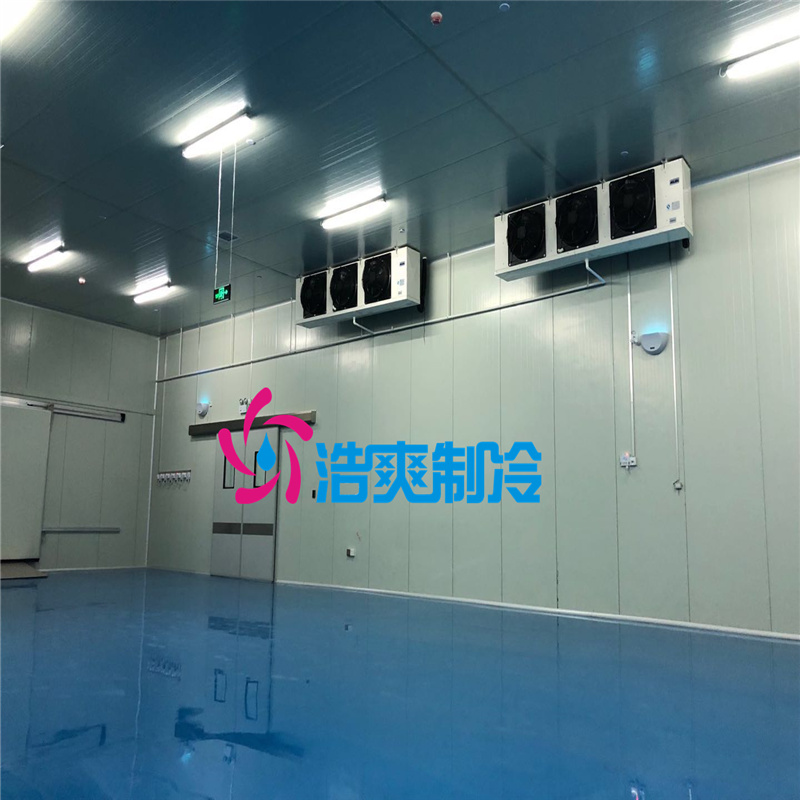 建造大型醫(yī)療冷藏庫所需要的費用價格是多少？