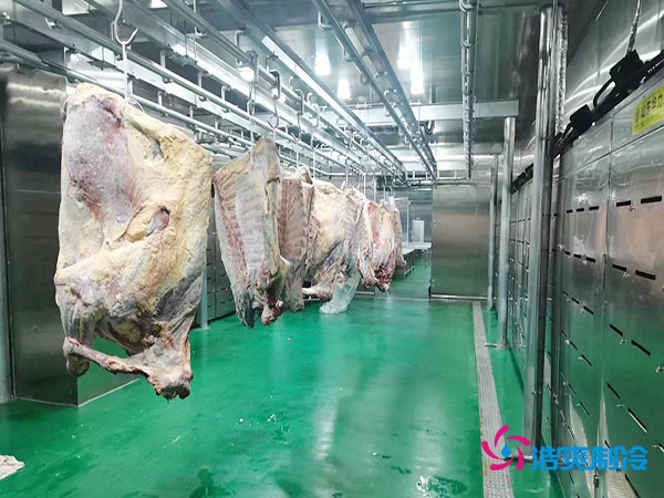 建造一個(gè)肉類(lèi)排酸冷庫(kù)安裝造價(jià)成本大概多少錢(qián)？