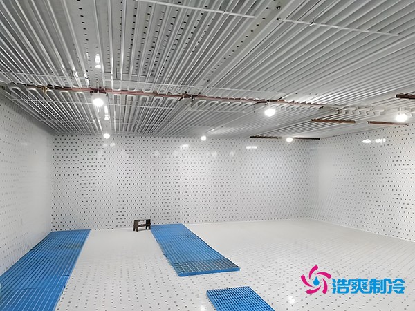 建設(shè)一個(gè)海鮮低溫冷庫(kù)造價(jià)多少錢一平方？