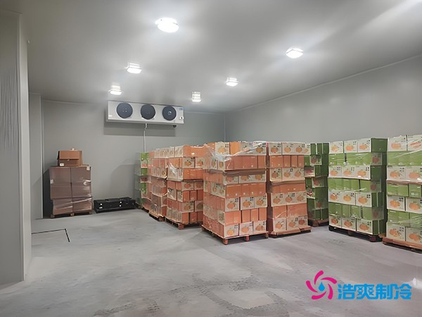 1000噸果蔬保鮮庫(kù)造價(jià)揭秘，節(jié)省成本就靠這幾點(diǎn)！