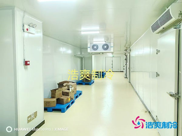 建造一個小型紅酒冷庫的大致造價費用多少錢？