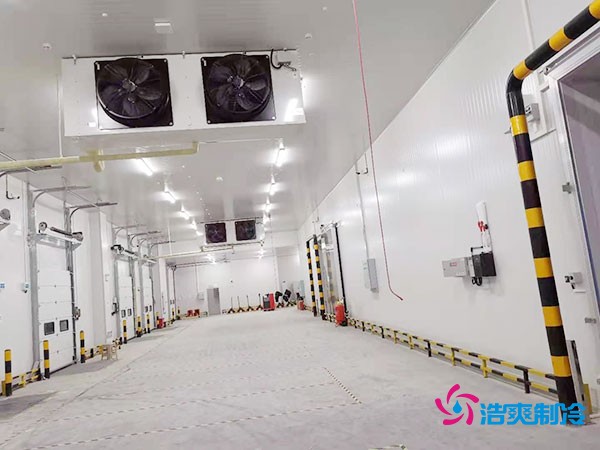 冷庫造價懸殊？揭秘每平米價格背后的秘密！