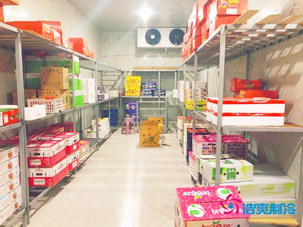 5噸水果需要多大冷庫(kù)？答案出乎意料！