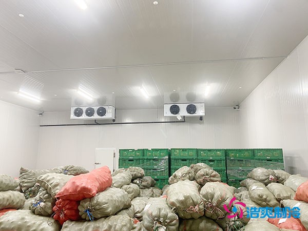 5噸水果需要多大冷庫(kù)？答案出乎意料！