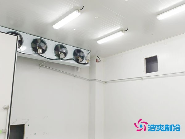上海小型冷庫造價揭秘！2萬起真的靠譜嗎？