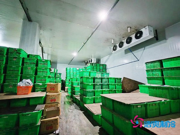 水果保鮮冷庫建造價(jià)格每平米多少錢？