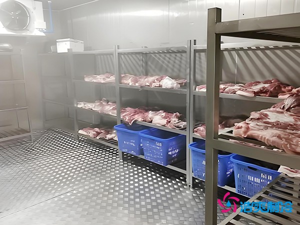 100噸凍肉冷庫造價預(yù)算概覽與設(shè)計建造方案
