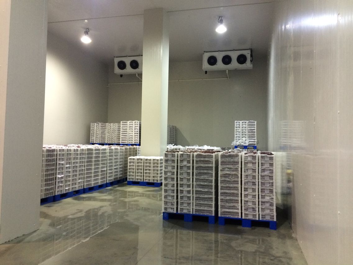 2000噸水果冷庫(kù)，冷庫(kù)安裝費(fèi)用多少