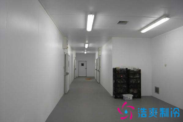 預(yù)建1000噸果蔬冷庫設(shè)計規(guī)劃，冷庫價格多少錢