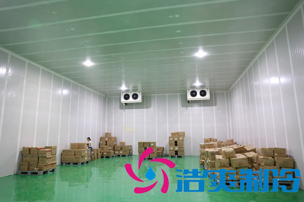 上海藥廠建造-20℃醫(yī)藥血漿冷庫，超低溫血漿冷庫定制預(yù)算多少