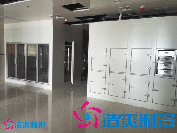 建造醫(yī)院血漿冷庫，低溫冷凍庫建造價格多少