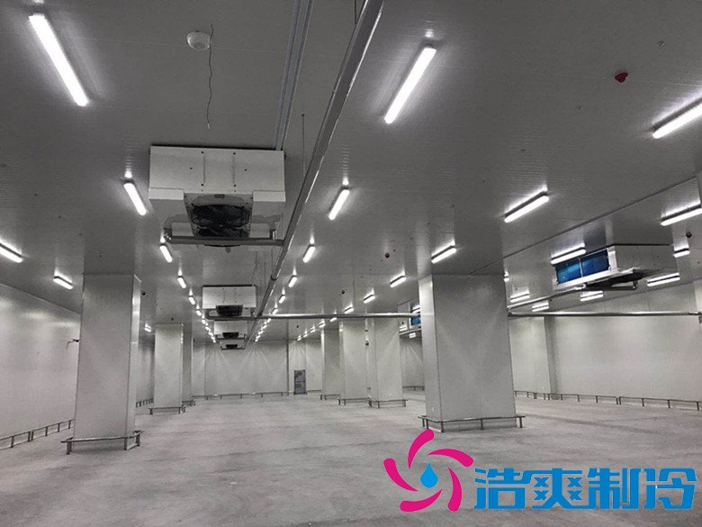 港口冷鏈冷庫市場趨勢和現(xiàn)狀，萬噸港口冷鏈低溫倉儲(chǔ)造價(jià)預(yù)算