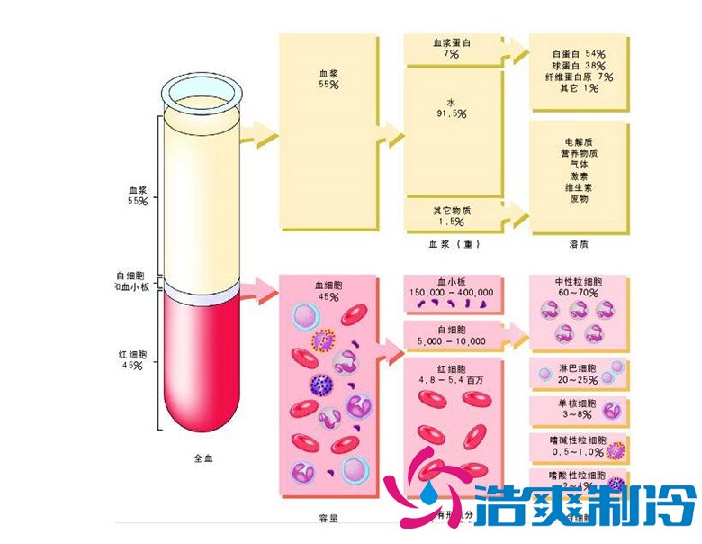 -30℃～-80℃血漿蛋白低溫冷凍庫規(guī)范，冷庫安裝價格