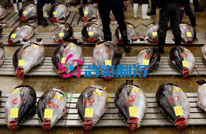 浩爽制冷，金槍魚(yú)冷庫(kù)，超低溫冷凍庫(kù)