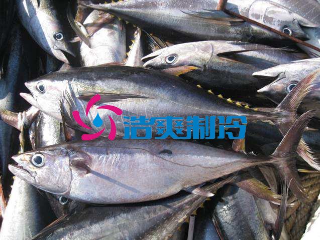 浩爽制冷，海鮮冷凍庫(kù)