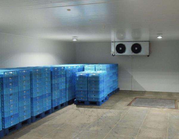浩爽制冷、食品速凍庫